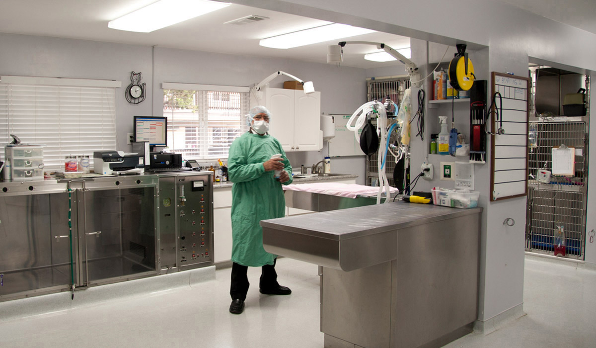 Steel medical table in medical facility