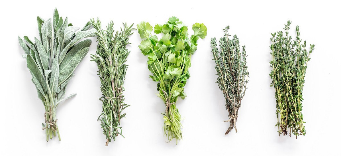 How to Choose the Best Herb Drying Rack