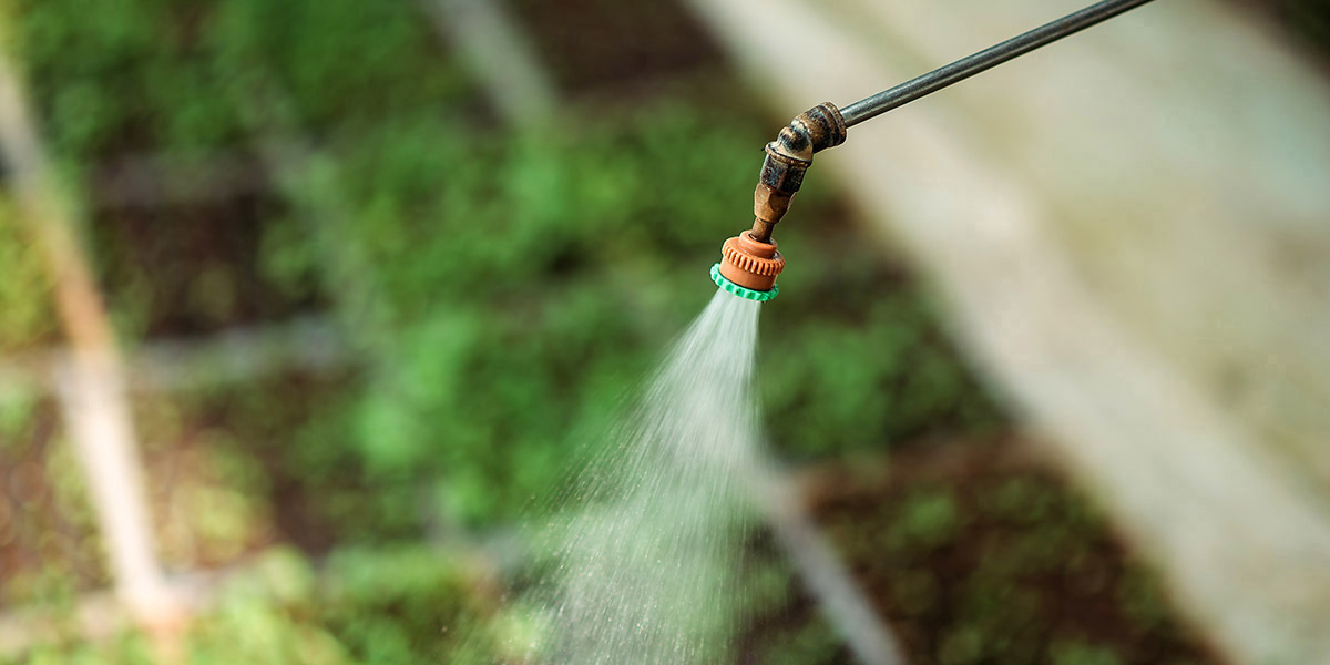 Water spraying - Germination Racks